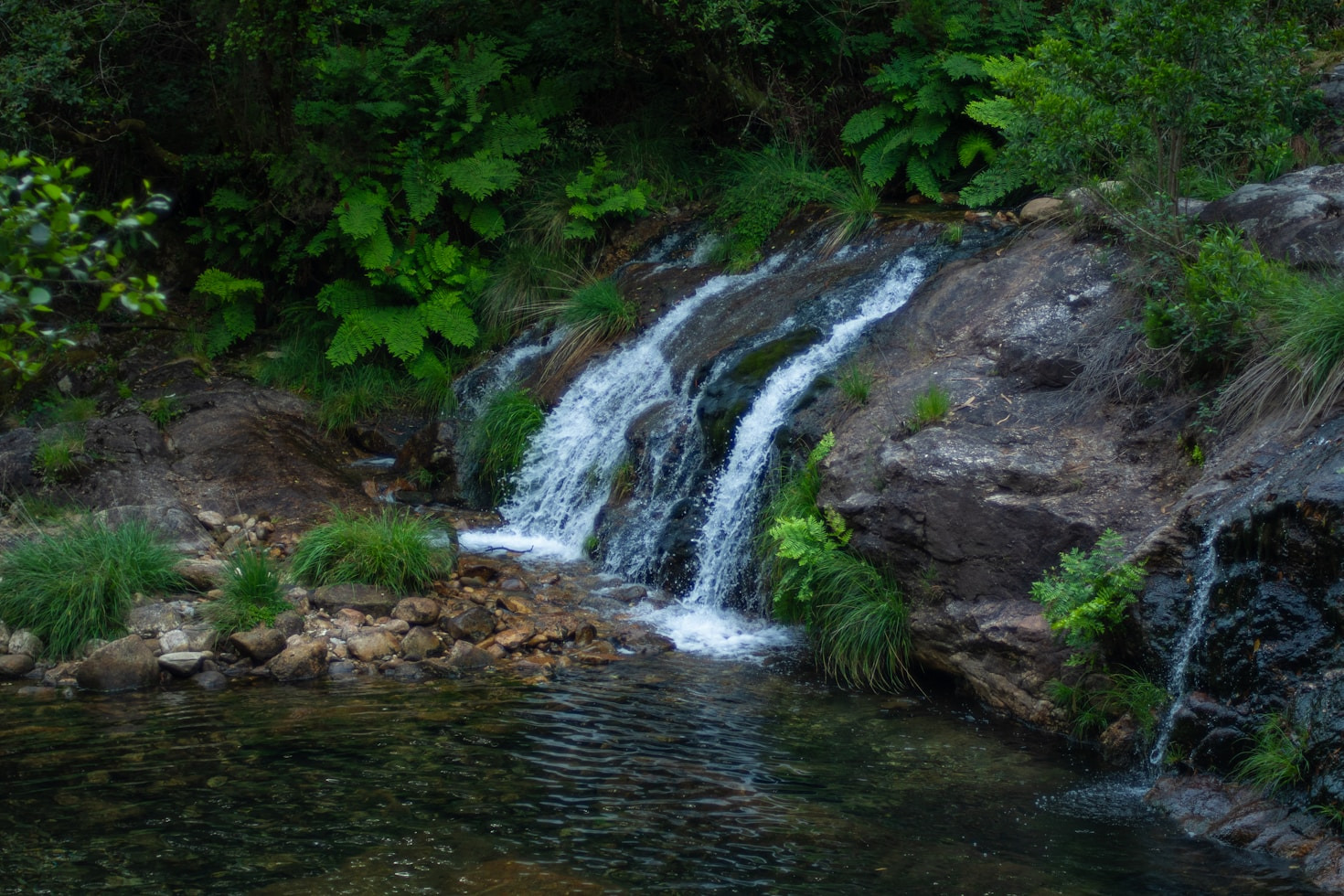 Nachhaltige Lösungen für Ihre Grünflächen