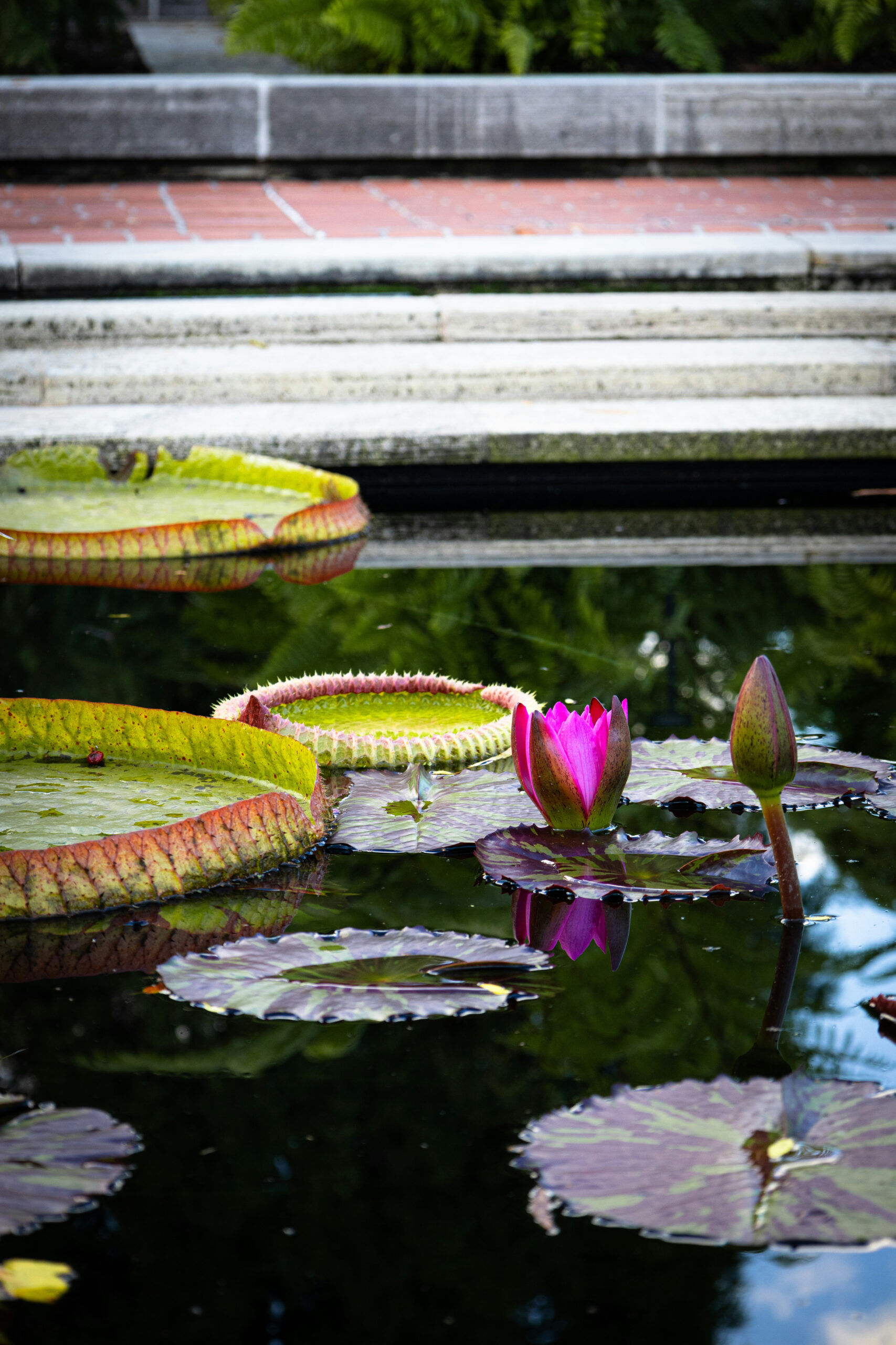 Beitragsbild von Hallo Welt